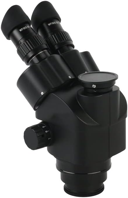 中本純也 スプーン 4点セット 中本純也